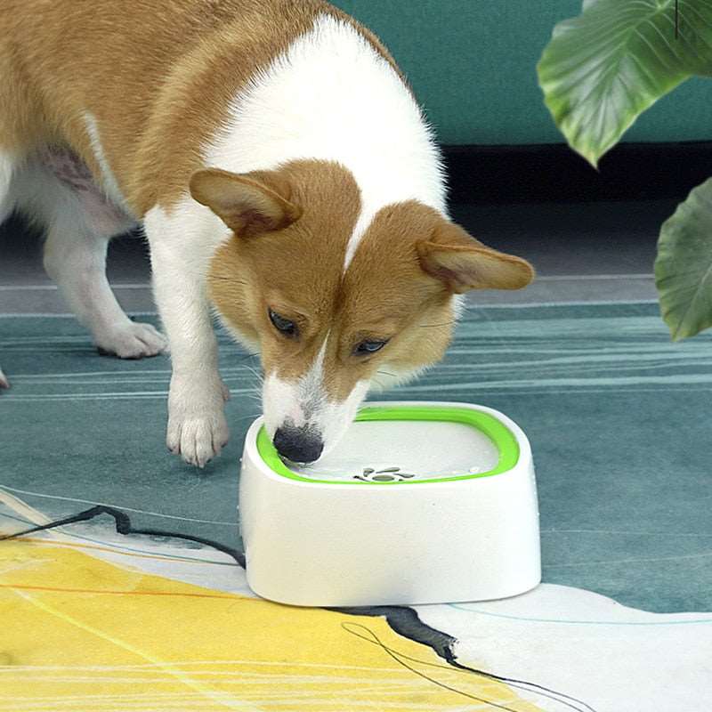 Anti-Splash Dog Drinking Water Bowl