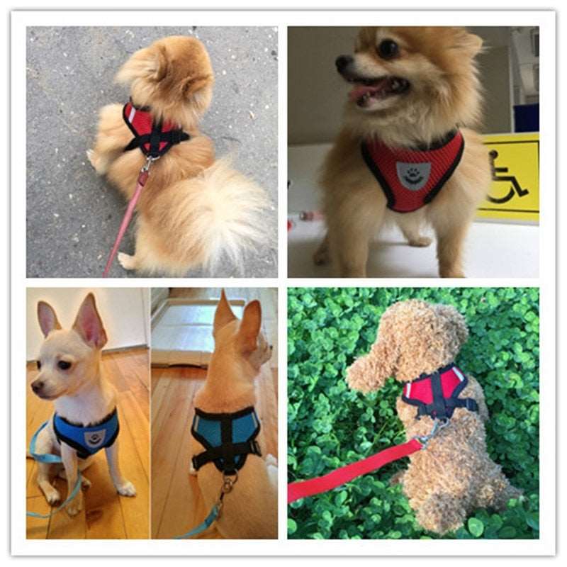 Breathable Harness with Leash (Cat / Small Dog)