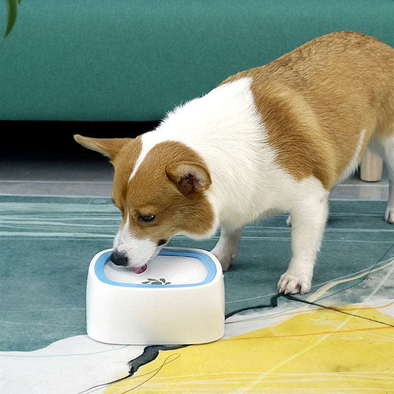 Anti-Splash Dog Drinking Water Bowl