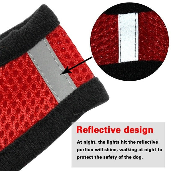 Breathable Harness with Leash (Cat / Small Dog)