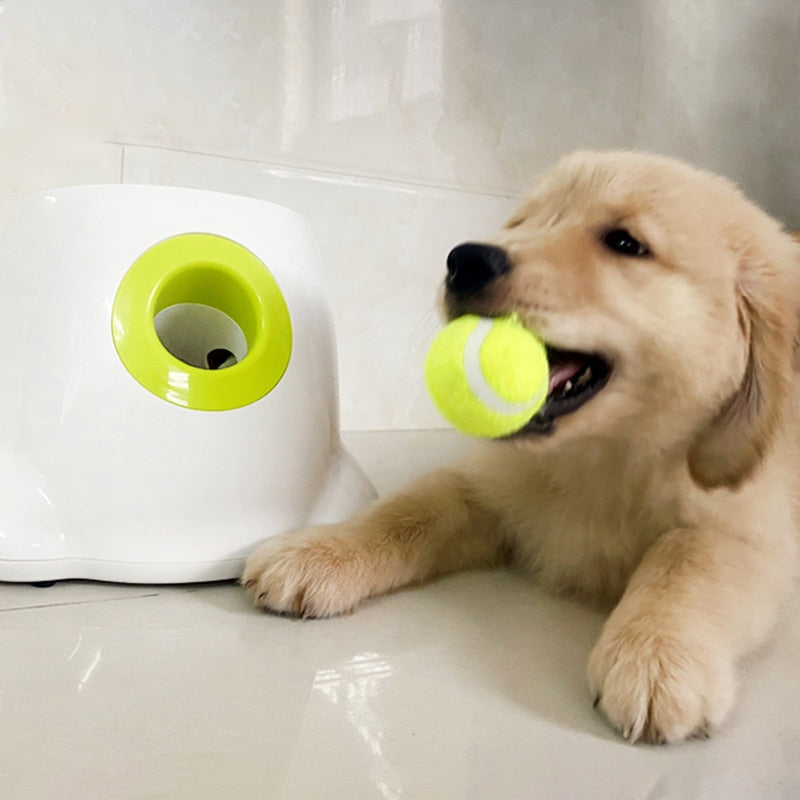 Catapult For Dogs - Tennis Ball Launcher