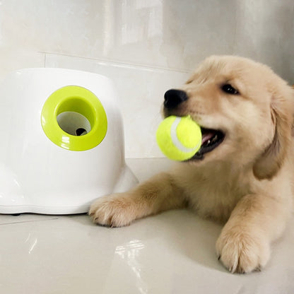 Catapult For Dogs - Tennis Ball Launcher