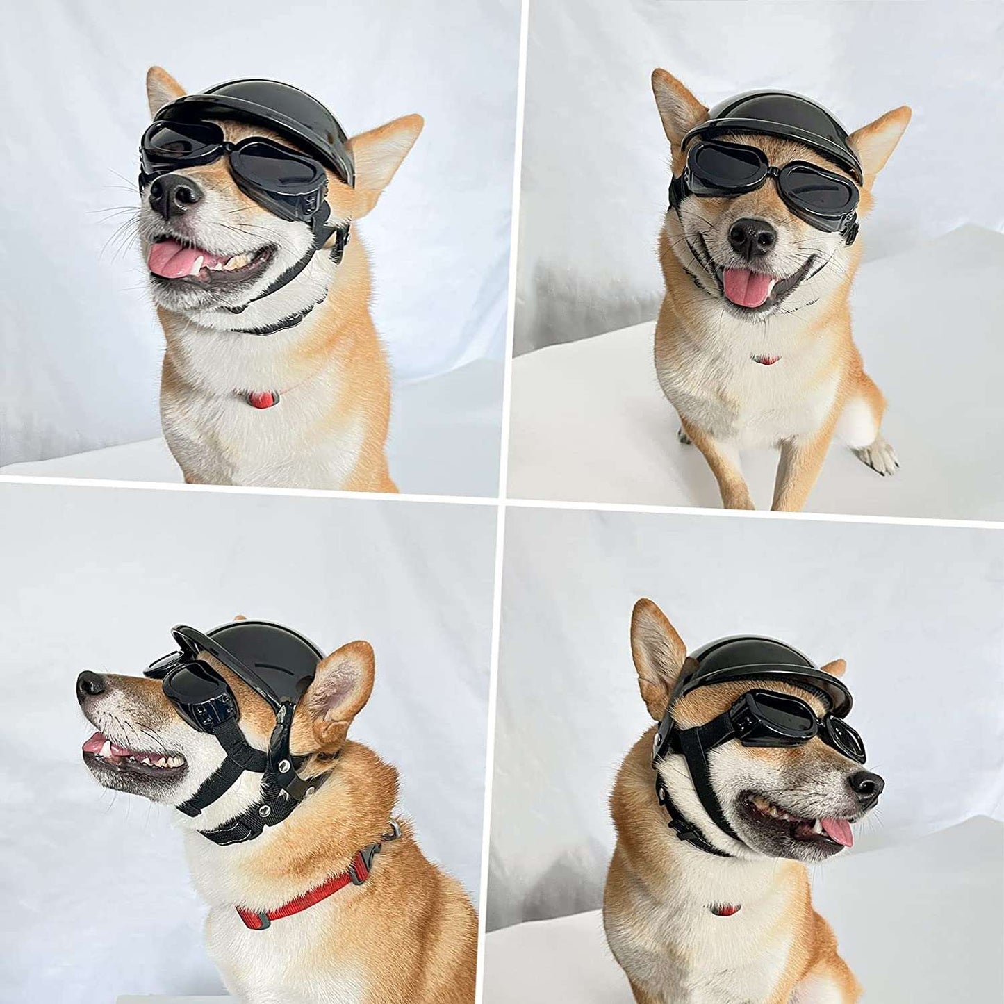 Helmet and Goggles for Radical Dogs