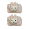 2pcs rabbit