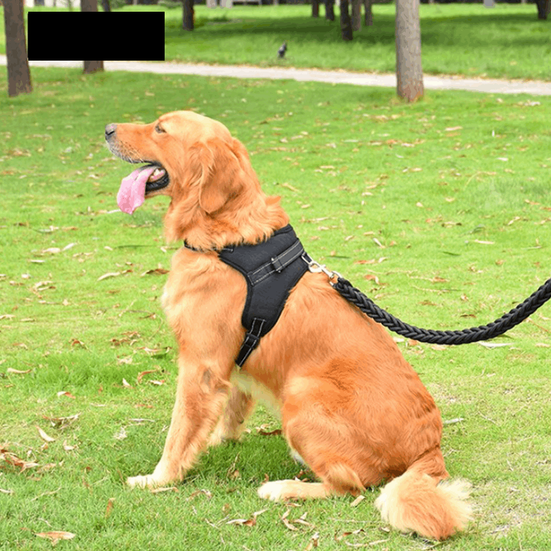 Dog Harness Vest - X-Small to X-Large