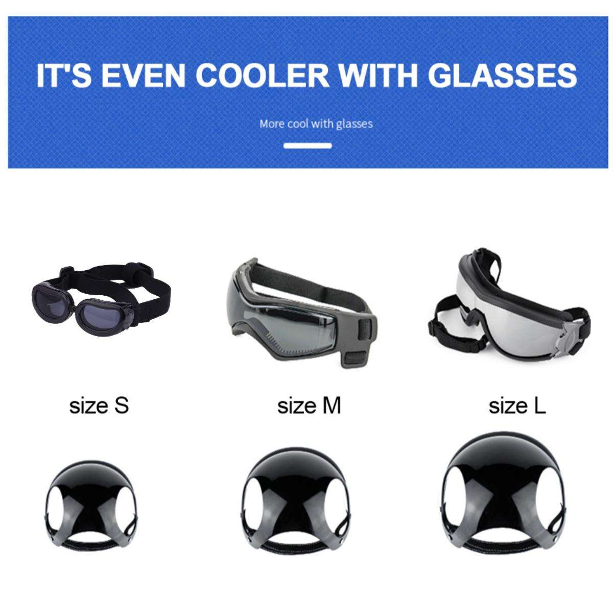 Helmet and Goggles for Radical Dogs