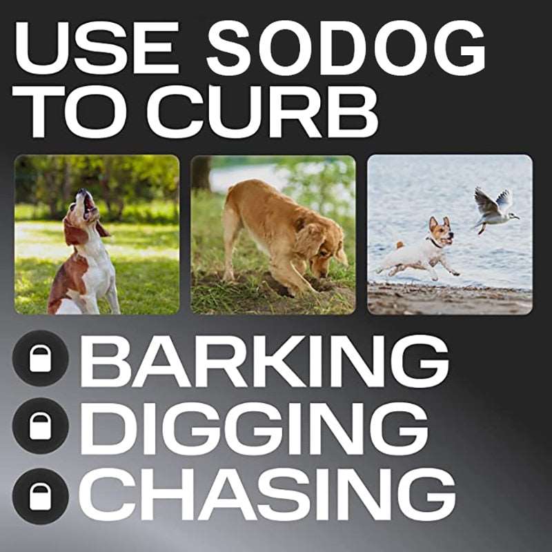 Dog Barking Control Device