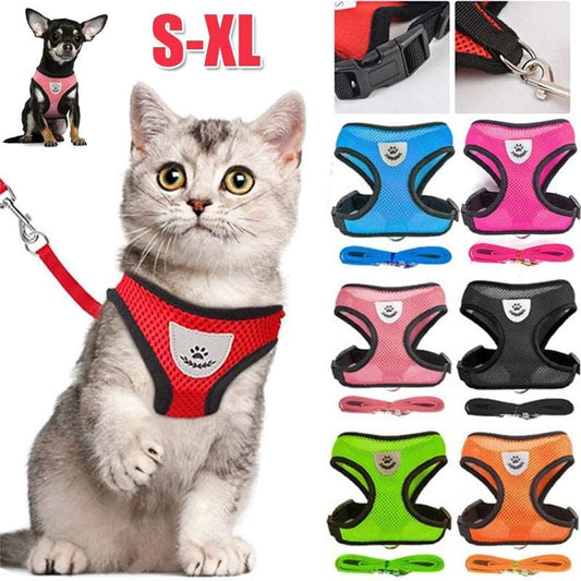 Breathable Harness with Leash (Cat / Small Dog)