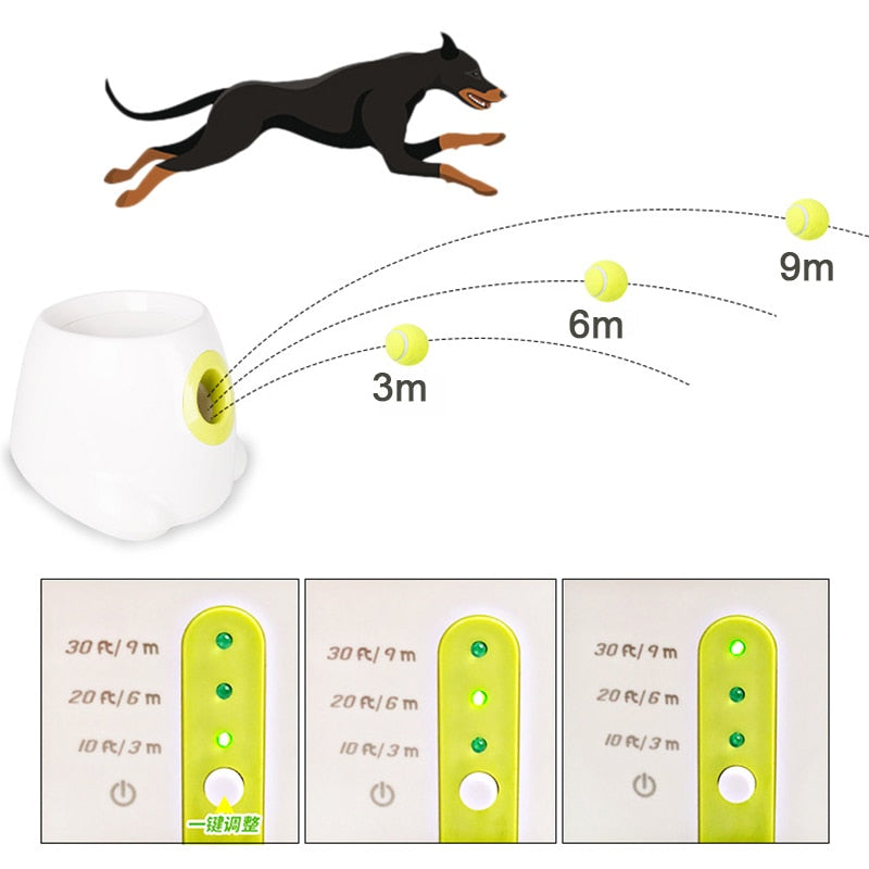 Catapult For Dogs - Tennis Ball Launcher