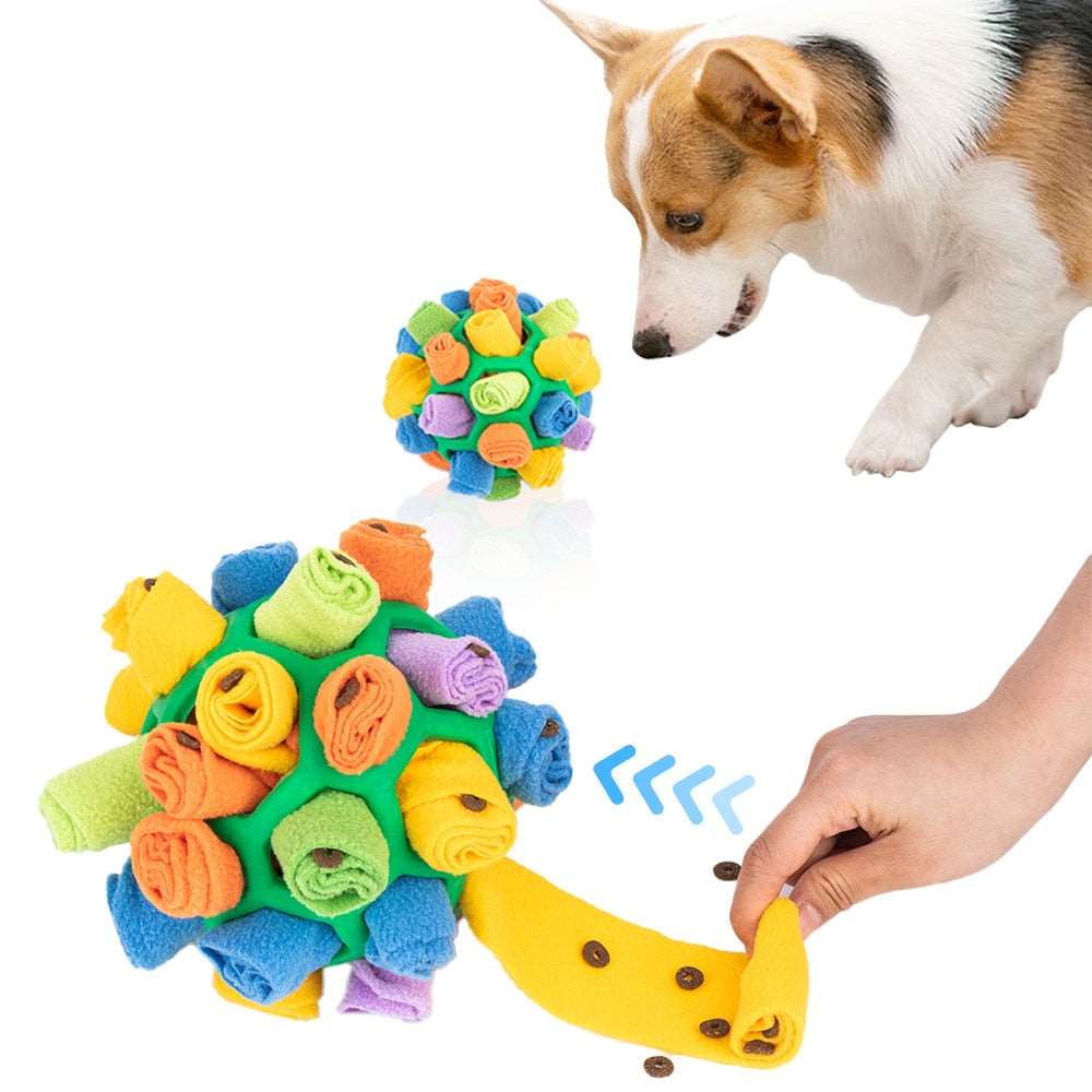 Dog Sniffing Training Game - Increase IQ