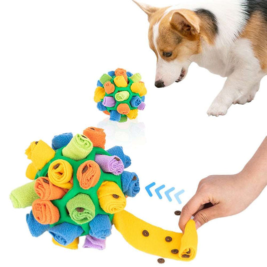 Dog Sniffing Training Game - Increase IQ