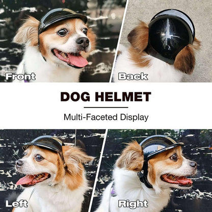 Helmet and Goggles for Radical Dogs