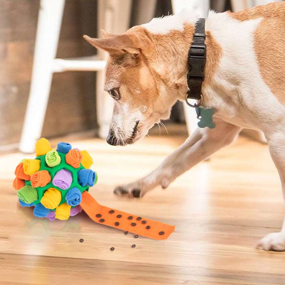 Dog Sniffing Training Game - Increase IQ