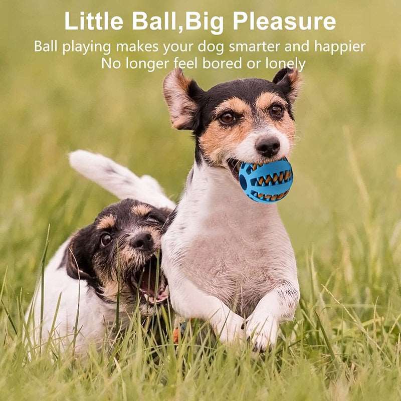 Interactive Puppy Ball Feeder