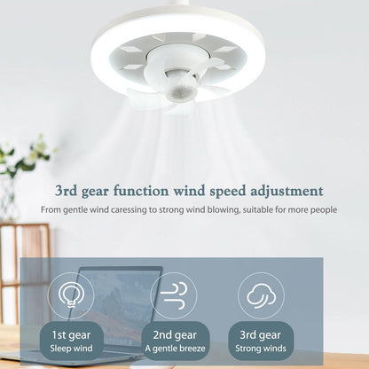 Light 48/60W + 3-Speed Cooling Fan