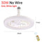 30W White Light D