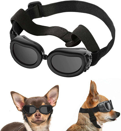 Helmet and Goggles for Radical Dogs